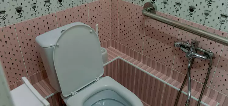 Meeting Diverse Needs With Accessible Restroom Solutions in Battle Ground, WA